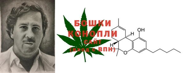 стафф Зеленокумск