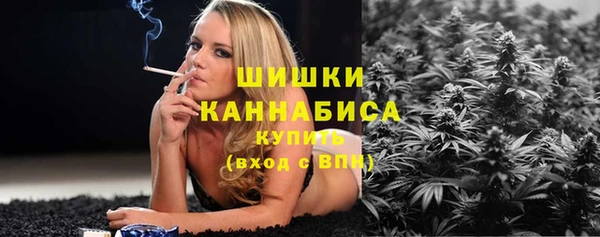 стафф Зеленокумск