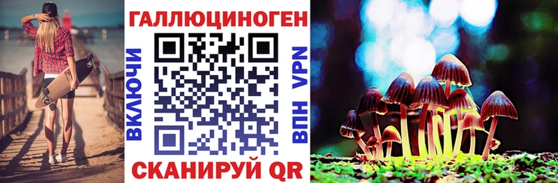 Псилоцибиновые грибы Cubensis  Купить где  Каменск-Шахтинский 